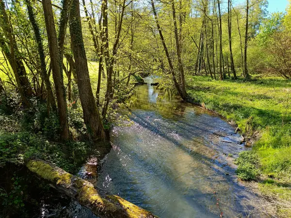 202604230-10 - Düssel im Düsseltal, Bergisches Land, Nordrhein-Westfalen, Deutschland