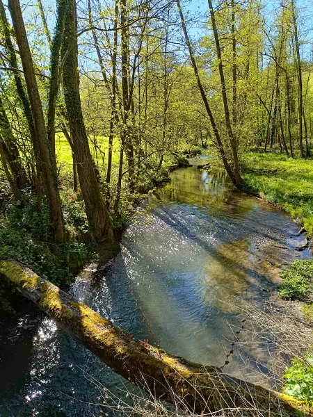 202604230-11 - Düssel im Düsseltal, Bergisches Land, Nordrhein-Westfalen, Deutschland