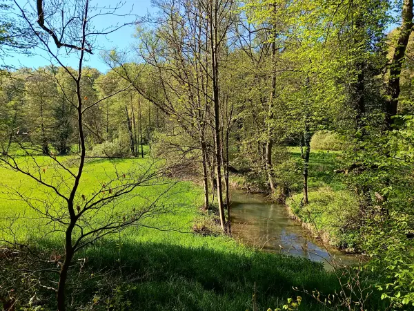 202604230-21 - Düssel im Düsseltal, Bergisches Land, Nordrhein-Westfalen, Deutschland