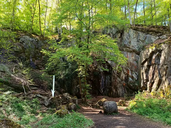 202604230-33 - Ehemaliger Steinbruch im Düsseltal, Bergisches Land, Nordrhein-Westfalen, Deutschland