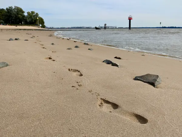 202309250-43 - Elbe bei Blankenese, Hamburg, Deutschland