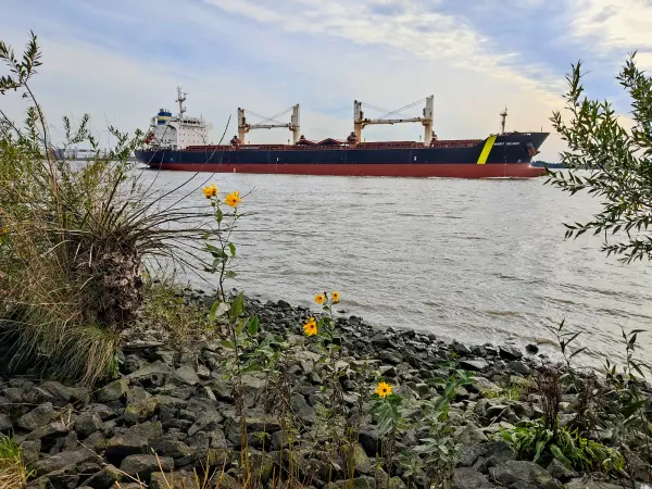 202309250-44 - Elbe bei Blankenese, Hamburg, Deutschland