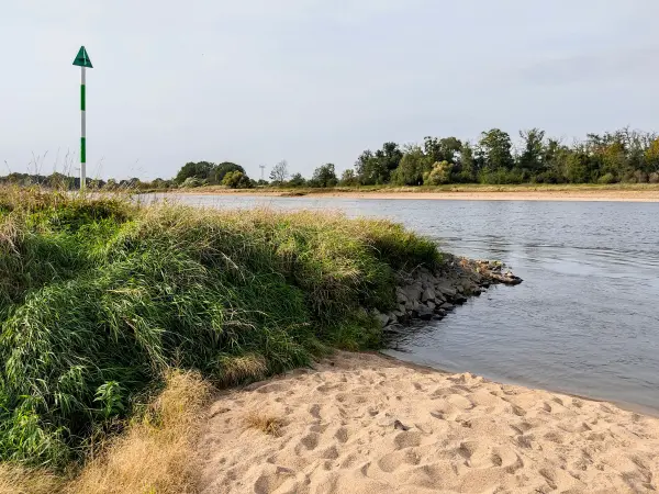 202310110-23 - Elbe bei Vockerode, Anhalt-Dessau-Wittenberg, Sachen-Anhalt, Deutschland