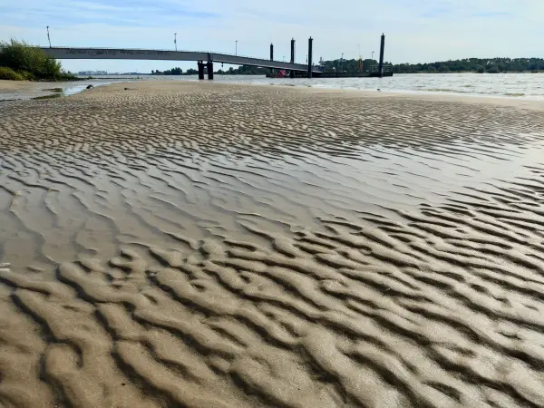 202309250-32 - Elbe bei Wittenbergen, Hamburg, Deutschland