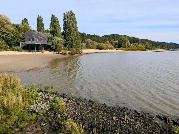 202309250-33 - Elbe bei Wittenbergen, Hamburg, Deutschland