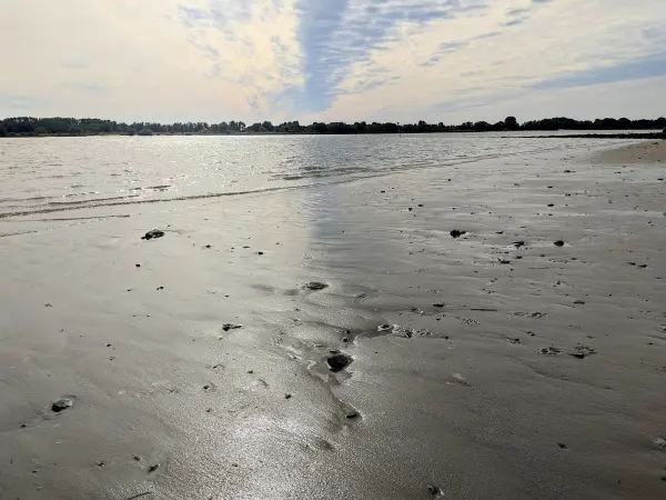 202309250-36 - Elbe bei Wittenbergen, Hamburg, Deutschland
