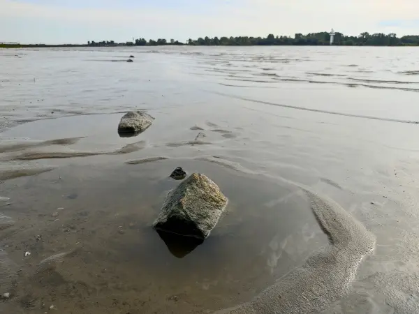 202309250-38 - Elbe bei Wittenbergen, Hamburg, Deutschland