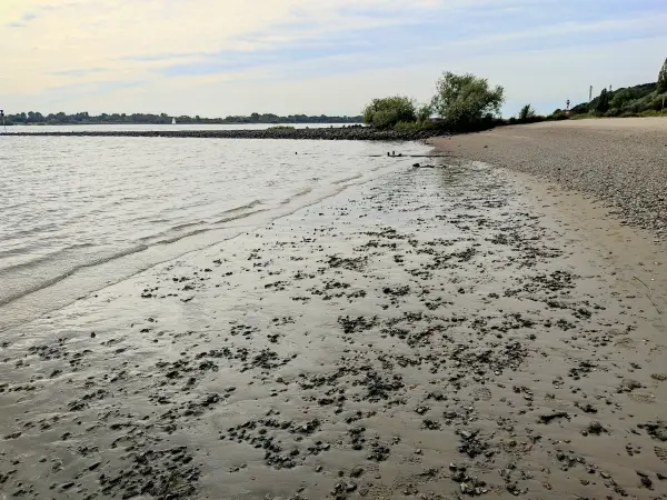 202309250-39 - Elbe bei Wittenbergen, Hamburg, Deutschland