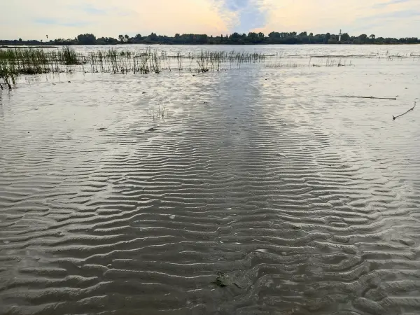 202309250-40 - Elbe bei Wittenbergen, Hamburg, Deutschland