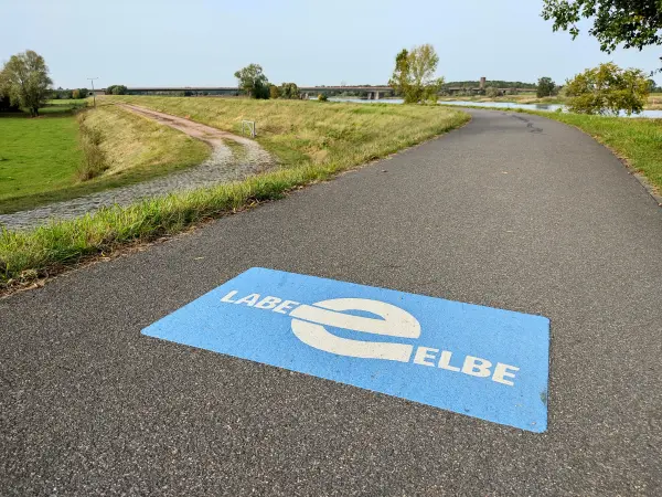 202310110-26 - Elberadweg bei Vockerode, Anhalt-Dessau-Wittenberg, Sachen-Anhalt, Deutschland