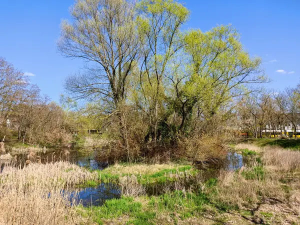 202304120-26 - Elsenteich in Mahlsdorf, Berlin, Deutschland