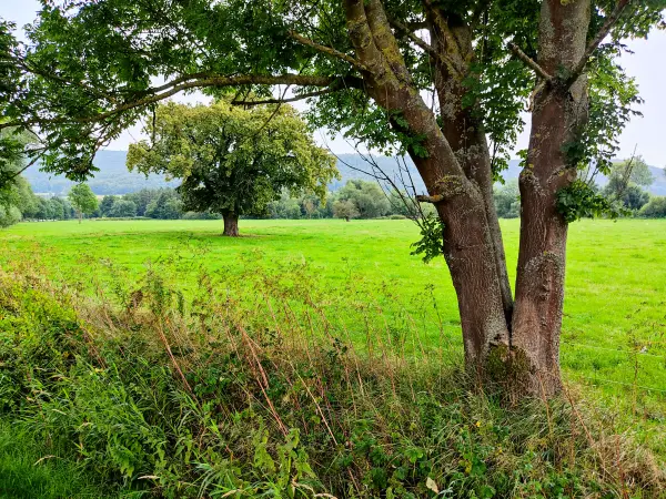 202308150-46 - Emmertal bei Bad Pyrmont, Weserbergland, Niedersachsen, Deutschland