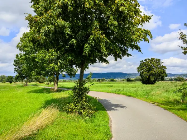 202308150-17 - Emmertal bei Lügde, Weserbergland, Nordrhein-Westfalen, Deutschland