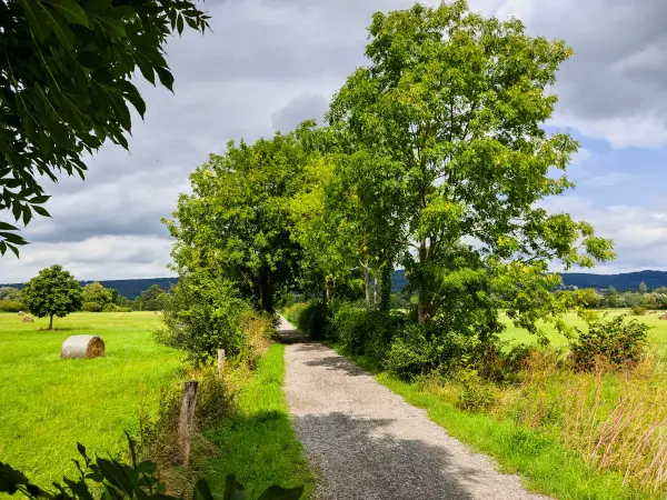 202308150-19 - Emmertal bei Lügde, Weserbergland, Nordrhein-Westfalen, Deutschland