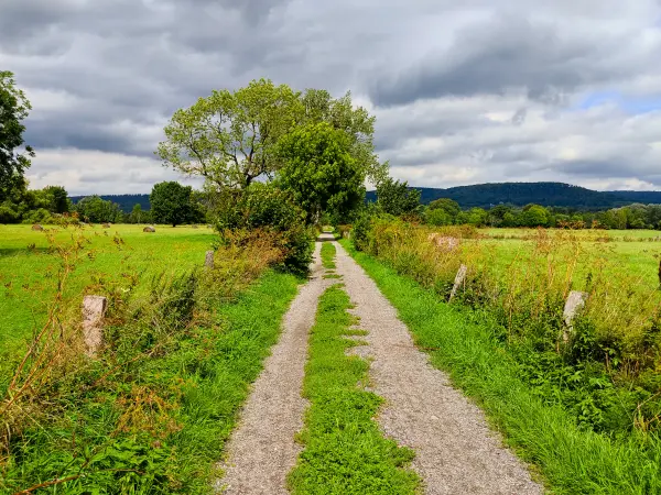 202308150-20 - Emmertal bei Lügde, Weserbergland, Nordrhein-Westfalen, Deutschland