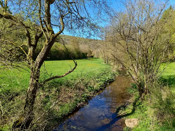 202604240-21 - Eschweiler Bach bei Nöthen, Eifel, Nordrhein-Westfalen, Deutschland