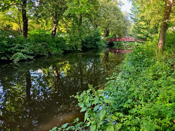 202308201-01 - Este in Buxtehude, Niedersachsen, Deutschland