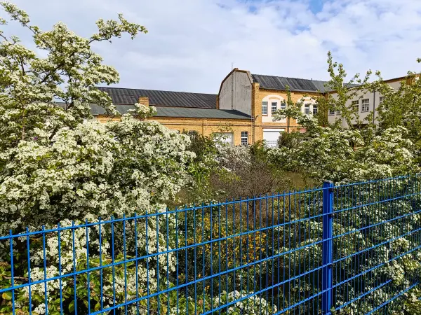 202404240-15 - Fabrikgebäude in Wolfen, Anhalt-Dessau-Wittenberg, Sachsen-Anhalt, Deutschland