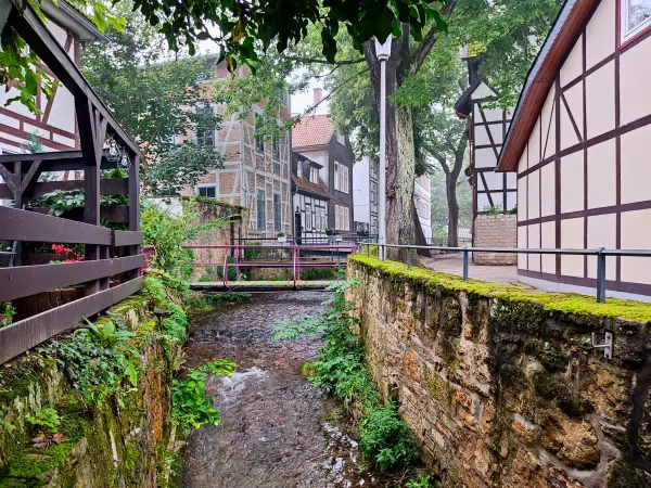 202308170-37 - Fachwerkhäuser an der Abzucht in Goslar, Harz, Niedersachsen, Deutschland