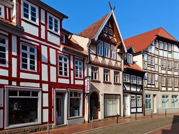 202503100-01 - Fachwerkhäuser in Hameln, Weserbergland, Niedersachsen, Deutschland