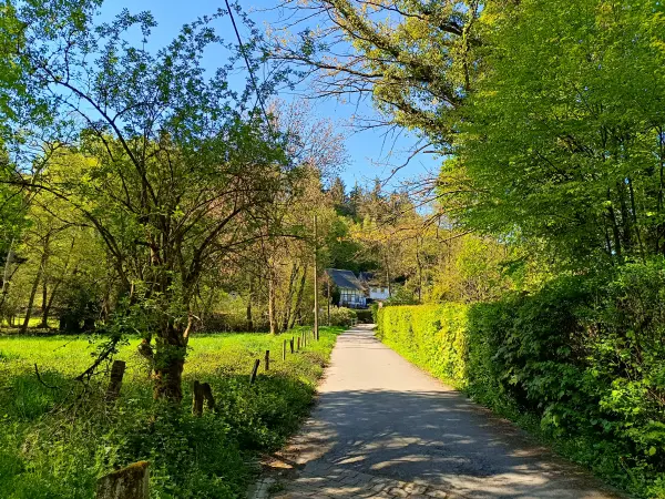 202604230-19 - Fachwerkhaus im Düsseltal, Bergisches Land, Nordrhein-Westfalen, Deutschland