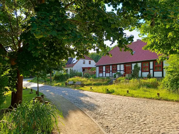 202606090-25 - Fachwerkhaus in Carwitz, Mecklenburgische Seenplatte, Mecklenburg-Vorpommern, Deutschland
