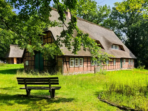 202308210-41 - Fachwerkhaus in Niederhaverbeck, Lüneburger Heide, Niedersachsen, Deutschland