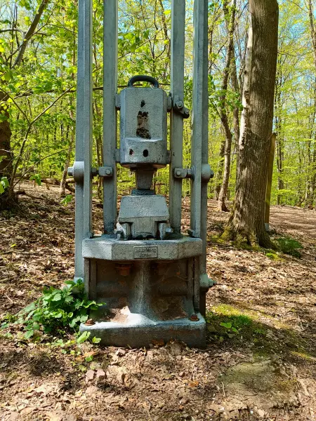 202604210-04 - Fallhammer im Stadtwald Hagen, Ruhrgebiet, Nordrhein-Westfalen, Deutschland