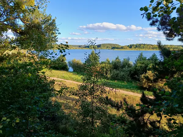 202508200-38 - Feisnecksee im Müritz-Nationalpark, Mecklenburgische Seenplatte, Mecklenburg-Vorpommern, Deutschland