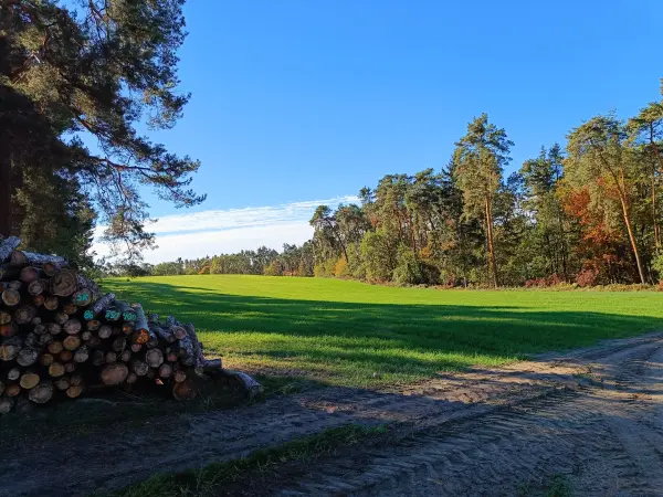 202610190-05 - Felder bei Lindenberg, Seenland Oder-Spree, Brandenburg, Deutschland