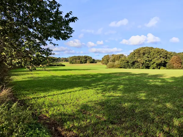 202310160-26 - Felder bei Neuendorf, Rügen, Mecklenburg-Vorpommern, Deutschland