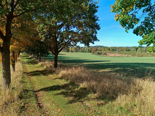 202510130-10 - Feldlandschaft bei Krakow am See, Mecklenburgische Seenplatte, Mecklenburg-Vorpommern, Deutschland