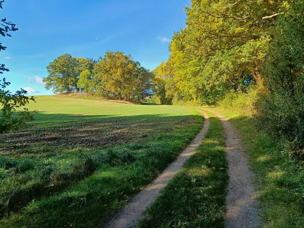 202510130-18 - Feldlandschaft bei Krakow am See, Mecklenburgische Seenplatte, Mecklenburg-Vorpommern, Deutschland
