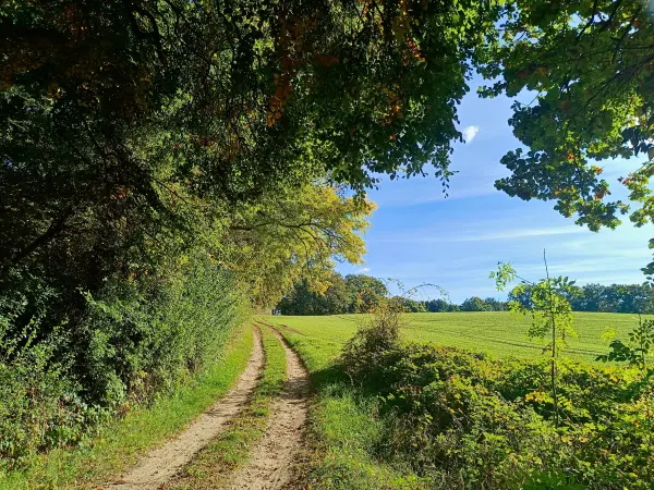 202510130-19 - Feldlandschaft bei Krakow am See, Mecklenburgische Seenplatte, Mecklenburg-Vorpommern, Deutschland