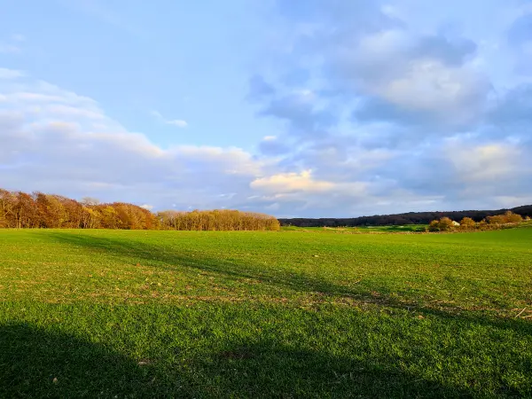202311070-58 - Feldlandschaft bei Lohme, Rügen, Mecklenburg-Vorpommern, Deutschland