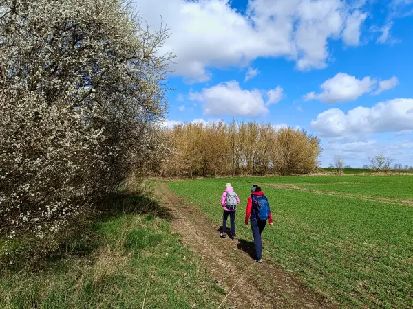 202604060-18 - Feldrand bei Blankenfelde, Berlin, Deutschland