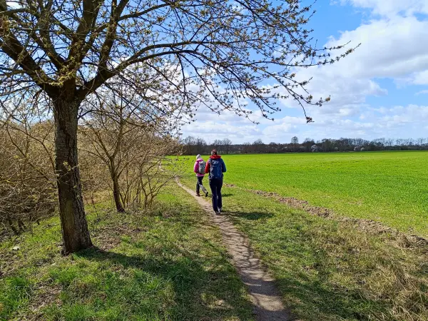 202604060-24 - Feldrand bei Blankenfelde, Berlin, Deutschland
