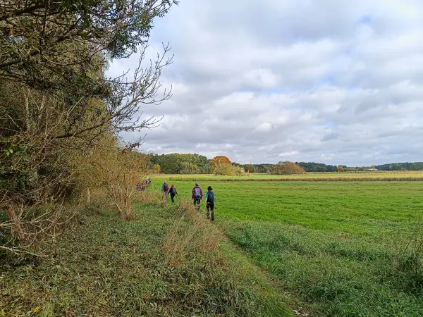 202510110-19 - Feldrand bei Saarmund, Fläming, Brandenburg, Deutschland