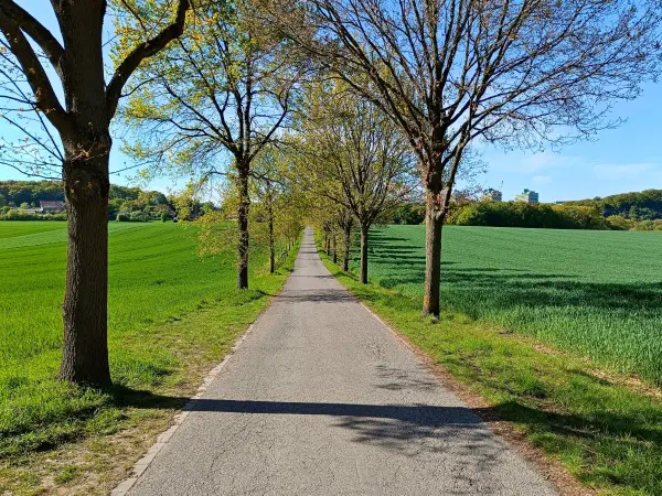 202604260-39 - Feldweg bei Bochum, Ruhrgebiet, Nordrhein-Westfalen, Deutschland
