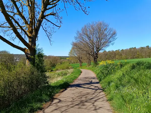 202604220-44 - Feldweg bei Breitenbenden, Eifel, Nordrhein-Westfalen, Deutschland