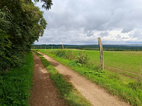 202508020-05 - Feldweg bei Dahmsdorf, Märkische Schweiz, Seenland Oder-Spree, Brandenburg, Deutschland