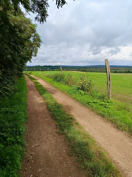 202508020-06 - Feldweg bei Dahmsdorf, Märkische Schweiz, Seenland Oder-Spree, Brandenburg, Deutschland