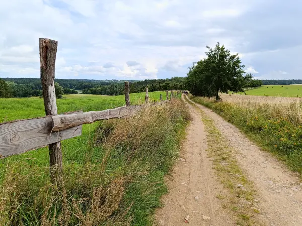 202508020-07 - Feldweg bei Dahmsdorf, Märkische Schweiz, Seenland Oder-Spree, Brandenburg, Deutschland