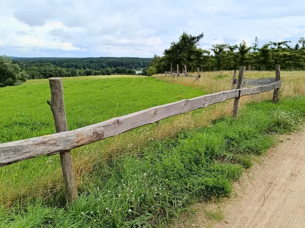 202508020-08 - Feldweg bei Dahmsdorf, Märkische Schweiz, Seenland Oder-Spree, Brandenburg, Deutschland