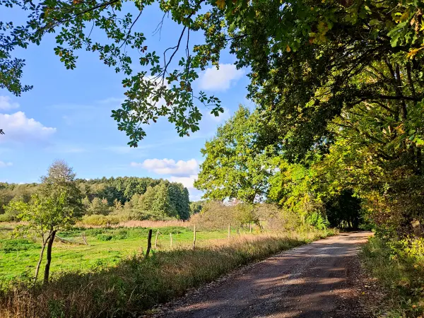 202310250-39 - Feldweg bei Emstal, Fläming, Brandenburg, Deutschland