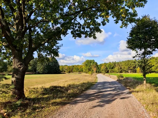 202310250-40 - Feldweg bei Emstal, Fläming, Brandenburg, Deutschland