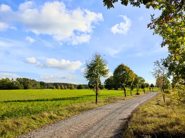 202310250-41 - Feldweg bei Emstal, Fläming, Brandenburg, Deutschland