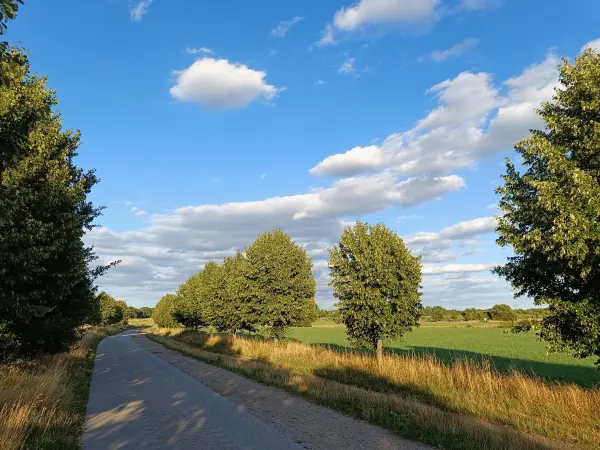 202607280-16 - Feldweg bei Großziethen, Fläming, Brandenburg, Deutschland