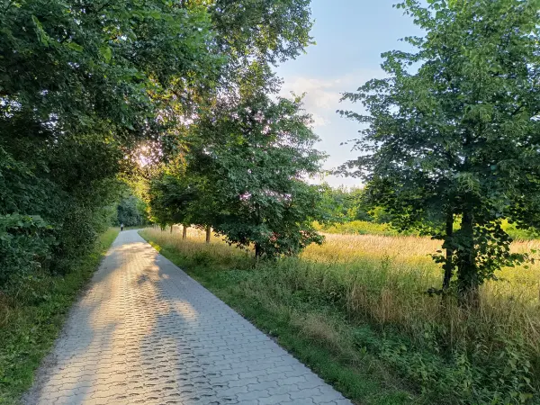202607280-18 - Feldweg bei Großziethen, Fläming, Brandenburg, Deutschland