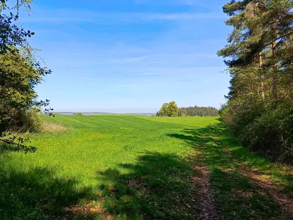202604240-11 - Feldweg bei Iversheim, Eifel, Nordrhein-Westfalen, Deutschland